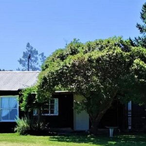 Green Hills Forest Lodge: a small house with a tree in front of it