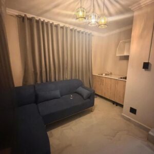 Halane Lodge: a living room with a blue couch in front of a window