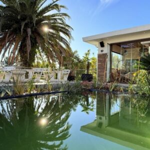 High End 420 Hotel & Members Club: a house with a palm tree next to a swimming pool
