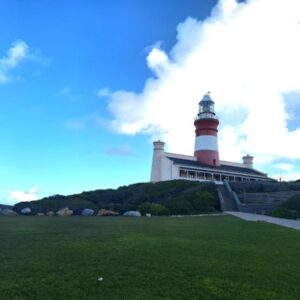 High Level Self Catering: a lighthouse on top of a building with a green field