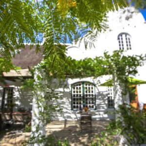 Jacaranda Wine And Guestfarm: a white house with windows and a tree