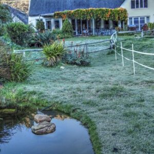 Kairos Lodge: a house with a pond in front of a yard