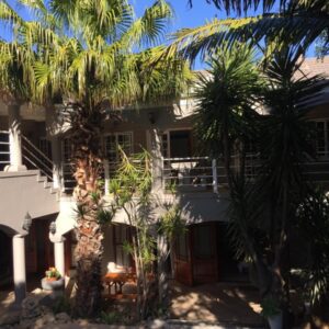 Knysna N2 Lodge: a house with palm trees in front of it