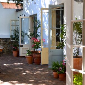 La Grenadine: a courtyard with potted plants in a building
