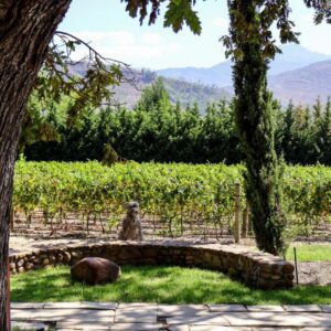 La Villa: a stone bench in front of a vineyard