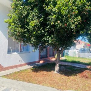 Lucian Bed and Breakfast: a tree in a yard next to a building
