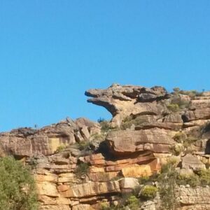 Maskam Guest Farm: a rocky mountain with trees in front of it