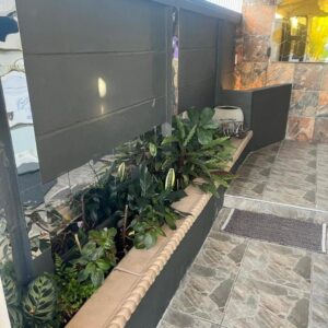 Mitchell's Guesthouse: a garden on the side of a building with plants