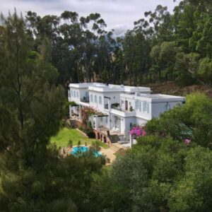 Morton Manor: an aerial view of a white house in the woods