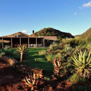 Mymering Wine & Guest Estate: a house with a bunch of cacti in front of it