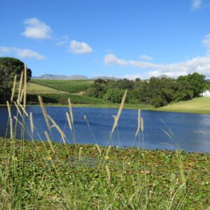 Navarre Farm Cottages: a view of a lake with a house in the background