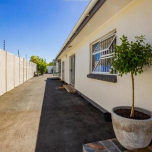 Olive Grove Bed & Breakfast: a tree in a pot next to a building