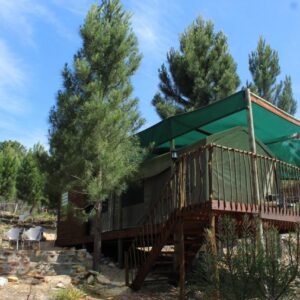 Otium Oasis Glamping & Camping: a tree house in the middle of a forest