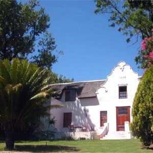 Oude Wellington Estate: a white house with a palm tree in front of it