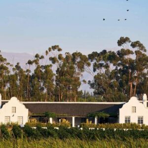 Rijk's Wine Estate & Guesthouse: a large white house with trees in the background