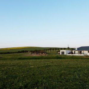 Rustfontein Guest Farm and Venue: a white house in the middle of a green field