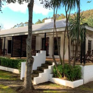 Silvermist Organic Wine Estate: a white house with a porch and trees