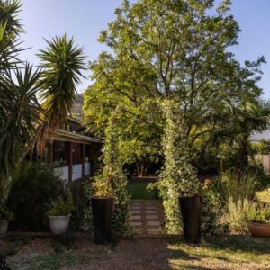 Staymore: a garden with trees and plants in front of a house