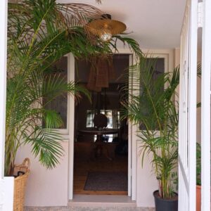 THE BIG - Luxury Backpackers: a hallway with two potted plants in a house