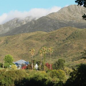 The Retreat at Groenfontein - No Self Catering: a mountain range with palm trees in front of a house