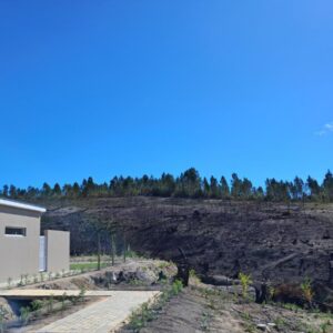 Treyntjes Rivier Cottages: a house on a hill next to a dirt road