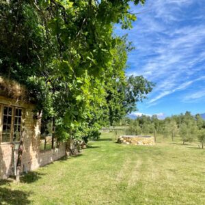 UnderHill Farm: an old brick building with a tree next to a field