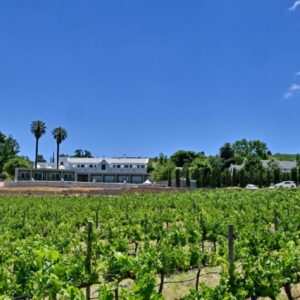 Val Du Charron Wine & Leisure Estate: a field of vines with a building in the background