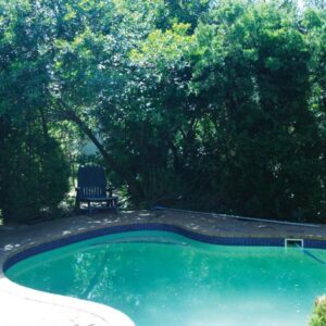 Villa Pascal Guest House: a swimming pool in a yard with trees