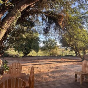Volmoed cottages: a wooden deck with chairs and a table and a tree