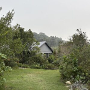 Woodcutters Forest Cottages: a house in the middle of a field with trees